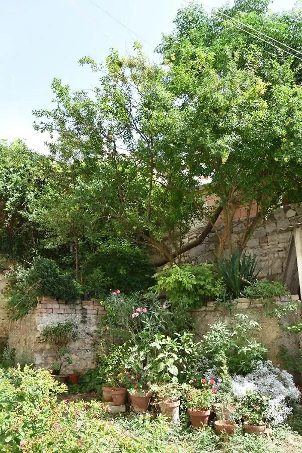 Studio Apartment Lumen Pula Chorwacja